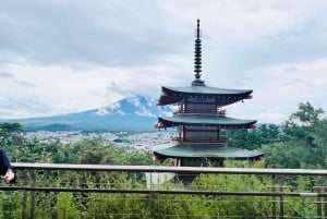 From Tokyo: Mt. Fuji or Hakone Sightseeing Private Day Tour