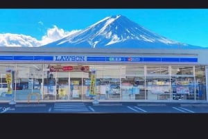 From Tokyo: Mt. Fuji or Hakone Sightseeing Private Day Tour