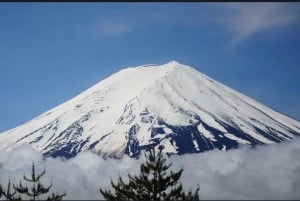 From Tokyo: Mt. Fuji or Hakone Sightseeing Private Day Tour