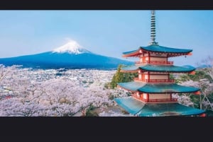 From Tokyo: Mt. Fuji or Hakone Sightseeing Private Day Tour