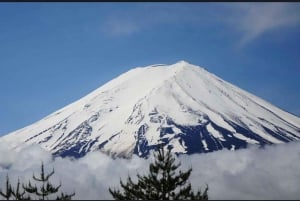 From Tokyo: Mt. Fuji or Hakone Sightseeing Private Day Tour