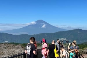 From Tokyo: Mt. Fuji or Hakone Sightseeing Private Day Tour