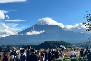 From Tokyo: Mt. Fuji or Hakone Sightseeing Private Day Tour