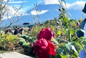 Da Tokyo: tour privato personalizzabile di un giorno sul Monte Fuji