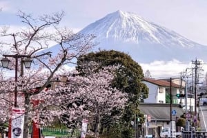 Da Tokyo: tour privato personalizzabile di un giorno sul Monte Fuji