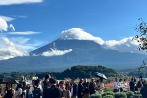 Da Tokyo: tour privato personalizzabile di un giorno sul Monte Fuji