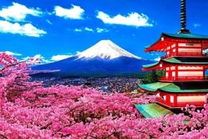 Da Tokyo: tour privato personalizzabile di un giorno sul Monte Fuji