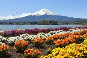 Da Tokyo: tour privato personalizzabile di un giorno sul Monte Fuji