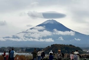 Da Tokyo: tour privato personalizzabile di un giorno sul Monte Fuji