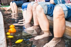 東京：秋の常陸海浜公園、福良の滝＆竜神