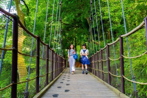 東京：秋の常陸海浜公園、福良の滝＆竜神