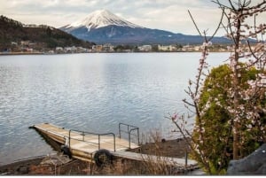 Von Tokio aus: Mt Fuji Private Tour in einem luxuriösen Land Cruiser