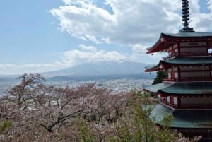 Von Tokio aus: Mt Fuji Private Tour in einem luxuriösen Land Cruiser