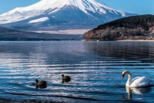 Von Tokio aus: Mt Fuji Private Tour in einem luxuriösen Land Cruiser