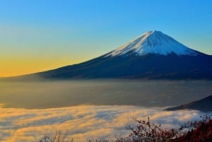 Von Tokio aus: Mt Fuji Private Tour in einem luxuriösen Land Cruiser