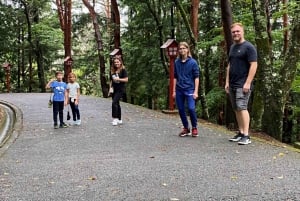 Von Tokio aus: Mt Fuji Private Tour in einem luxuriösen Land Cruiser