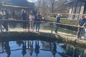 Von Tokio aus: Mt Fuji Private Tour in einem luxuriösen Land Cruiser