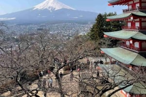 Von Tokio aus: Mt Fuji Private Tour in einem luxuriösen Land Cruiser