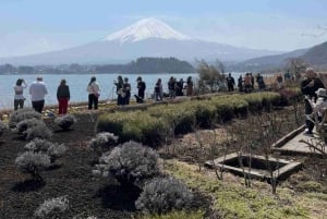 Von Tokio aus: Mt Fuji Private Tour in einem luxuriösen Land Cruiser