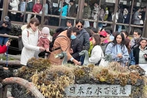 Von Tokio aus: Mt Fuji Private Tour in einem luxuriösen Land Cruiser
