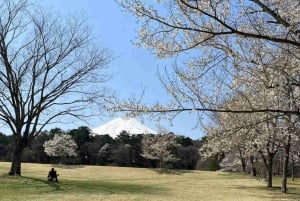 Von Tokio aus: Mt Fuji Private Tour in einem luxuriösen Land Cruiser