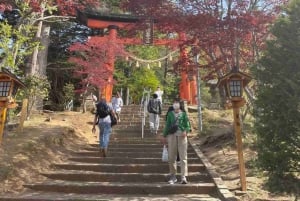 Von Tokio aus: Mt Fuji Private Tour in einem luxuriösen Land Cruiser