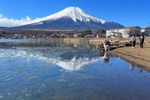 Von Tokio aus: Mt Fuji Private Tour in einem luxuriösen Land Cruiser