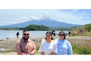 Von Tokio aus: Mt Fuji Private Tour in einem luxuriösen Land Cruiser