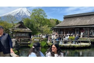 Von Tokio aus: Mt Fuji Private Tour in einem luxuriösen Land Cruiser