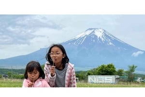 Von Tokio aus: Mt Fuji Private Tour in einem luxuriösen Land Cruiser