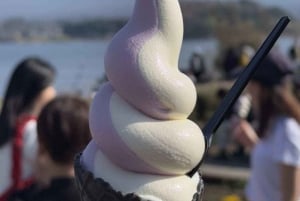 Fra Tokyo: privat dagsomvisning til Fuji-fjellet i luksuriøs Land Cruiser