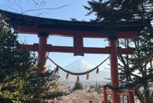 Fra Tokyo: privat dagsomvisning til Fuji-fjellet i luksuriøs Land Cruiser