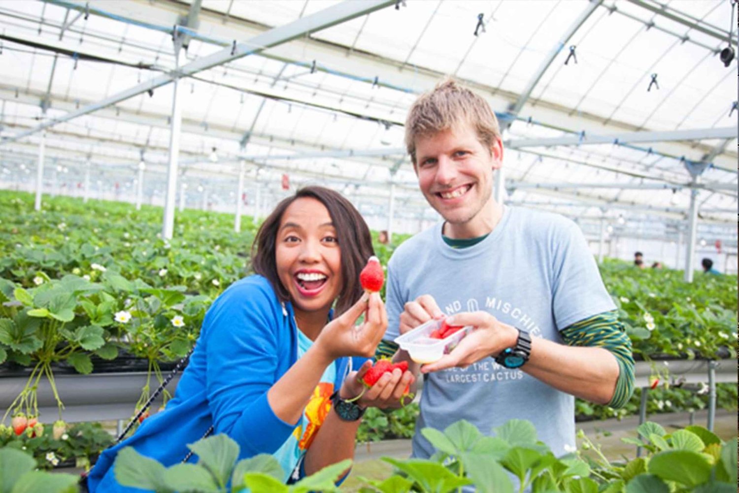 Fra Tokyo: Skiturer på Fuji-fjellet og onsen-opplevelse – dagsomvisning