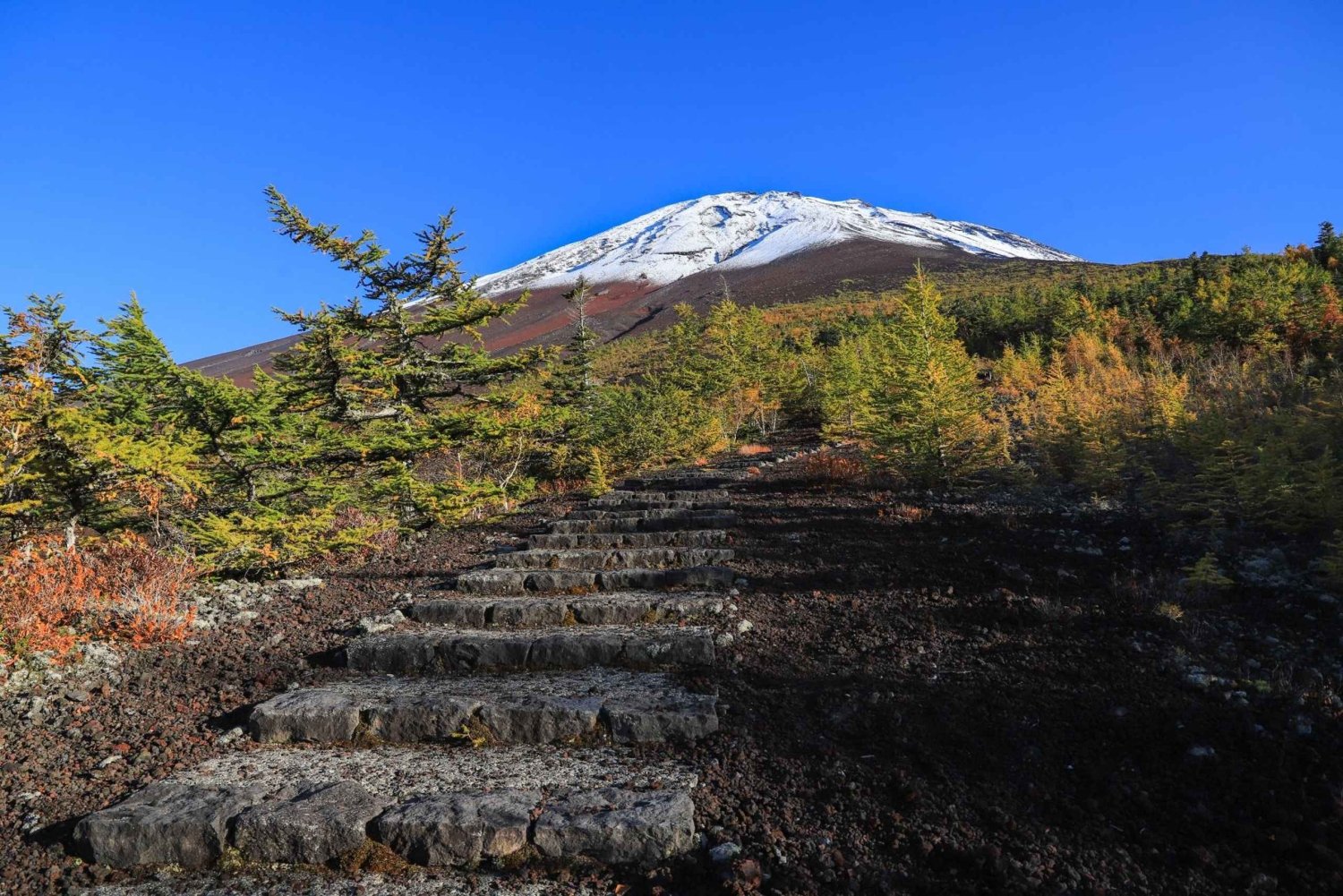 From Tokyo: Mt. Fuji Trekking 1-Day Tour (English Guide)