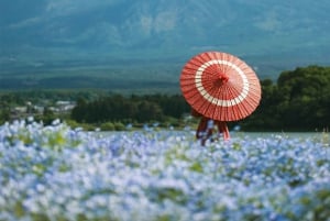 Tokiosta: Pakollinen koko päivän retki Fuji-vuoren kohokohtiin