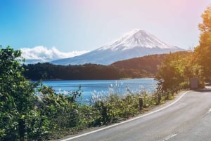 Tokiosta: Pakollinen koko päivän retki Fuji-vuoren kohokohtiin