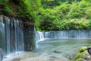Tokiosta: Pakollinen koko päivän retki Fuji-vuoren kohokohtiin
