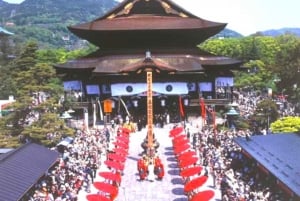 東京／長野発 : プライベート・スノーモンキー・パーク 1日ツアー