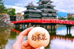 東京／長野発 : プライベート・スノーモンキー・パーク 1日ツアー