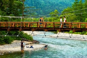 東京／長野発 : プライベート・スノーモンキー・パーク 1日ツアー