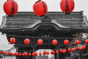 東京／長野発 : プライベート・スノーモンキー・パーク 1日ツアー