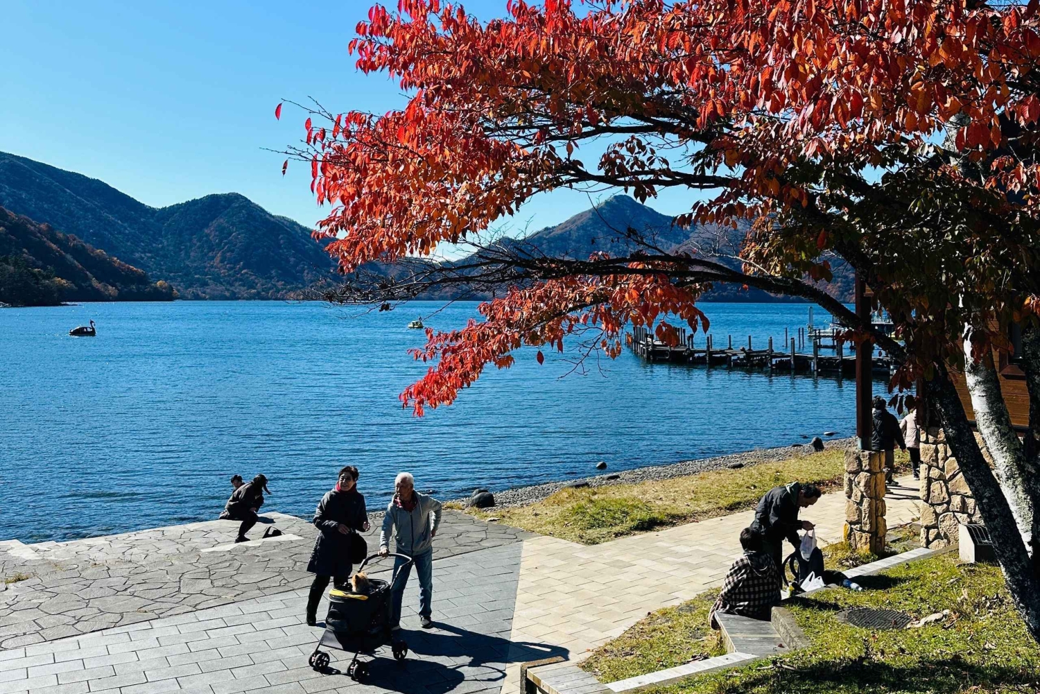 東京発：英語ガイド付き日光1日カスタムツアー