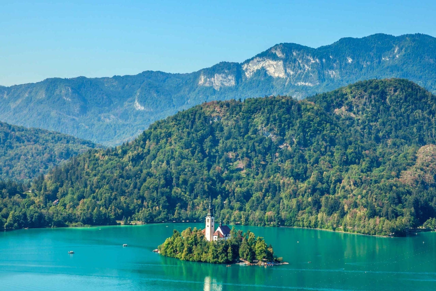 東京発：英語ガイド付き日光1日カスタムツアー