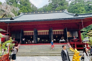 東京発：英語ガイド付き日光1日カスタムツアー