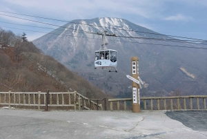 東京発：英語ガイド付き日光1日カスタムツアー