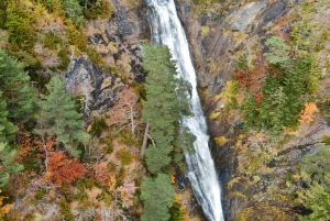 東京発：英語ガイド付き日光1日カスタムツアー