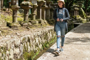 東京発：英語ガイド付き日光1日カスタムツアー