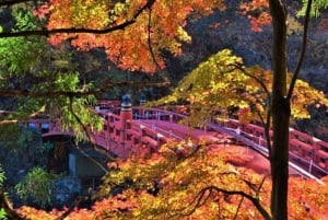 Från Tokyo: Nikko lyxig tur med engelsktalande guide