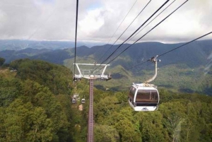 Från Tokyo: Nikko lyxig tur med engelsktalande guide