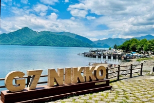 Från Tokyo: Nikko lyxig tur med engelsktalande guide